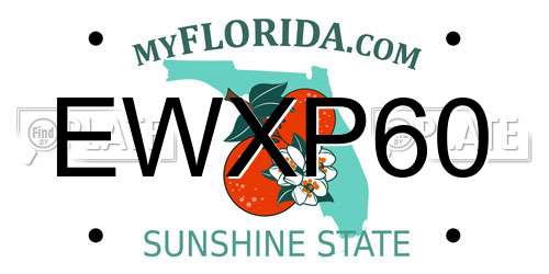 EWXP60 Florida License Plate