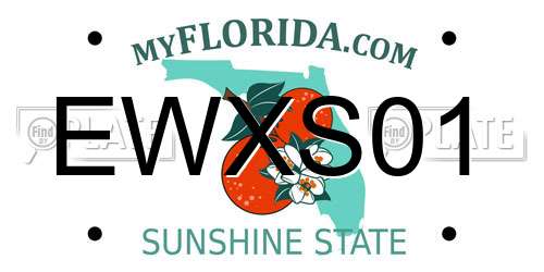 EWXS01 Florida License Plate