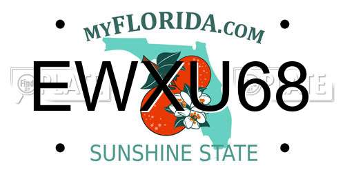 EWXU68 Florida License Plate