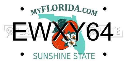 EWXY64 Florida License Plate