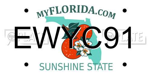 EWYC91 Florida License Plate
