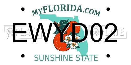 EWYD02 Florida License Plate