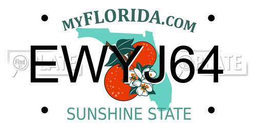 EWYJ64 Florida License Plate