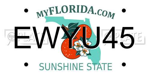 EWYU45 Florida License Plate