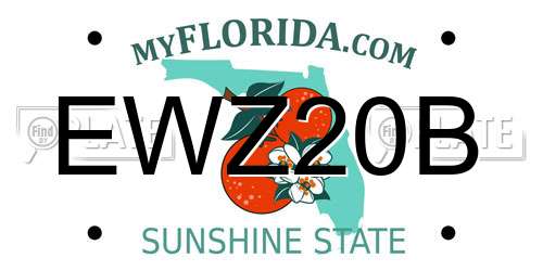 EWZ20B Florida License Plate