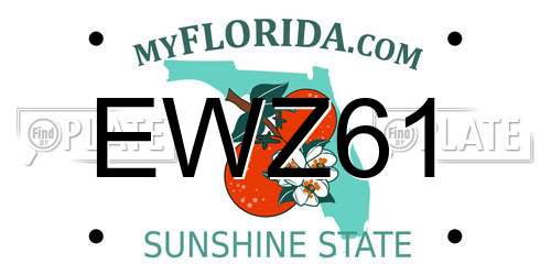 EWZ61 Florida License Plate