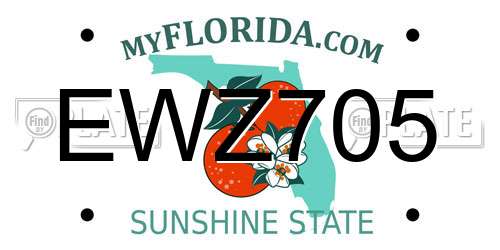 EWZ705 Florida License Plate