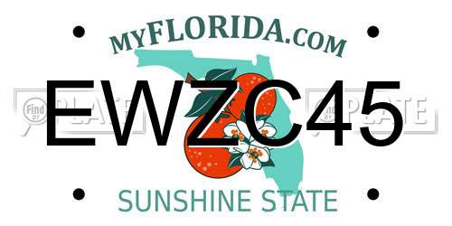 EWZC45 Florida License Plate