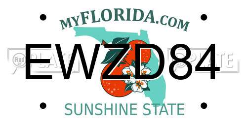 EWZD84 Florida License Plate