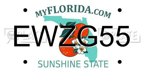 EWZG55 Florida License Plate