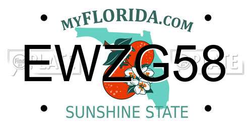 EWZG58 Florida License Plate