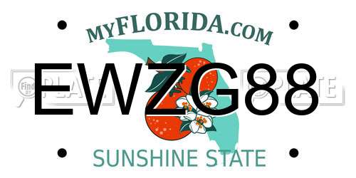 EWZG88 Florida License Plate