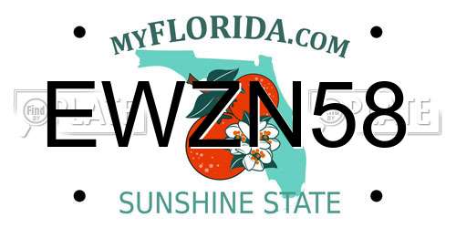EWZN58 Florida License Plate