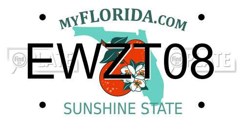 EWZT08 Florida License Plate