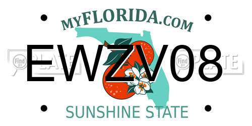 EWZV08 Florida License Plate