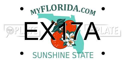 EX17A Florida License Plate