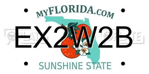 EX2W2B Florida License Plate
