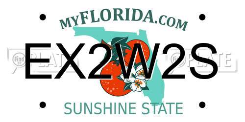 EX2W2S Florida License Plate