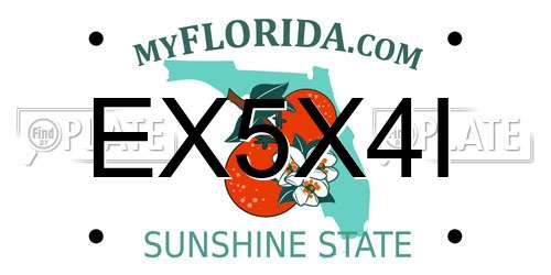 EX5X4I Florida License Plate