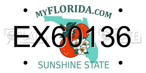 EX60136 Florida License Plate