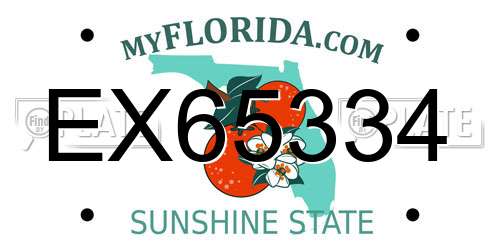 EX65334 Florida License Plate