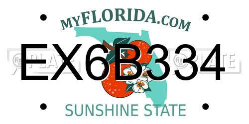 EX6B334 Florida License Plate
