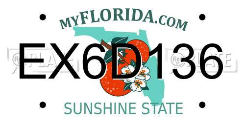 EX6D136 Florida License Plate