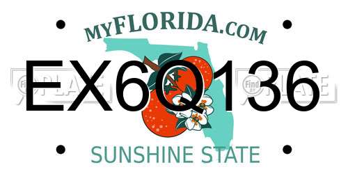 EX6Q136 Florida License Plate