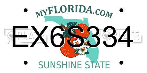 EX6S334 Florida License Plate