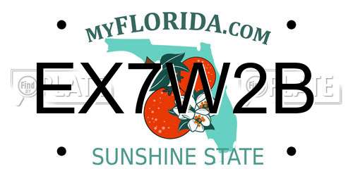 EX7W2B Florida License Plate