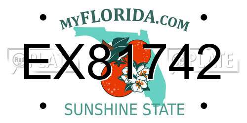 EX81742 Florida License Plate