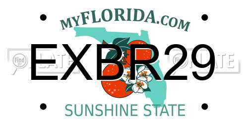 EXBR29 Florida License Plate