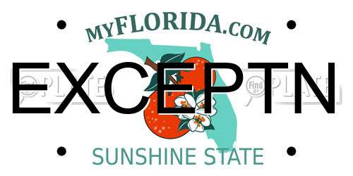 EXCEPTN Florida License Plate