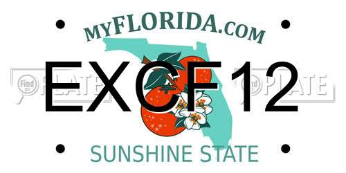 EXCF12 Florida License Plate