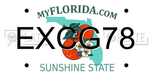 EXCG78 Florida License Plate