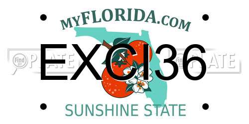 EXCI36 Florida License Plate