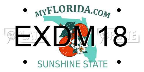 EXDM18 Florida License Plate