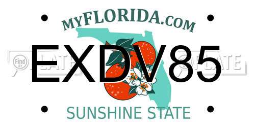 EXDV85 Florida License Plate
