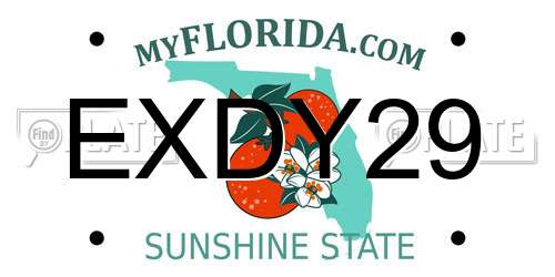 EXDY29 Florida License Plate