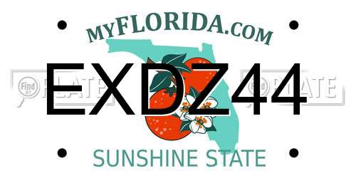 EXDZ44 Florida License Plate