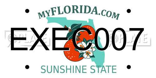 EXEC007 Florida License Plate