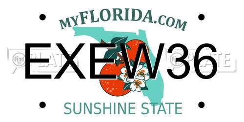 EXEW36 Florida License Plate