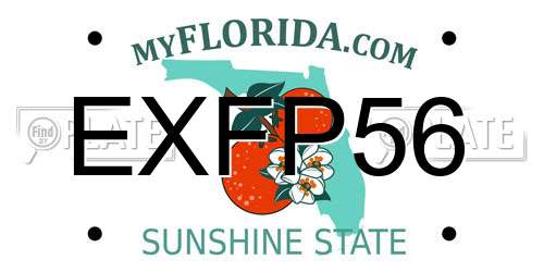EXFP56 Florida License Plate