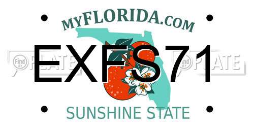 EXFS71 Florida License Plate