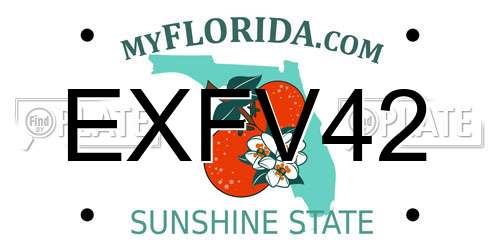 EXFV42 Florida License Plate