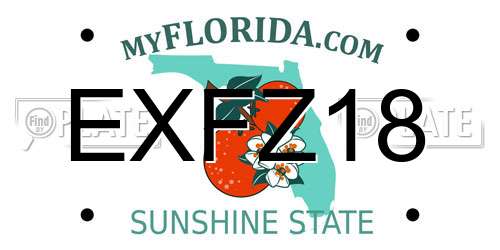 EXFZ18 Florida License Plate