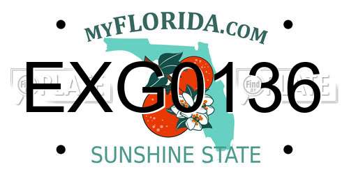 EXG0136 Florida License Plate