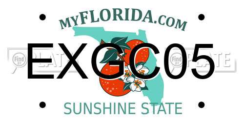 EXGC05 Florida License Plate