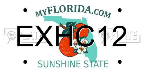 EXHC12 Florida License Plate