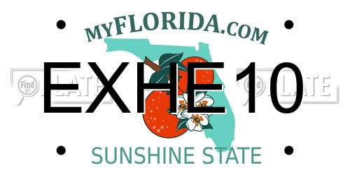 EXHE10 Florida License Plate